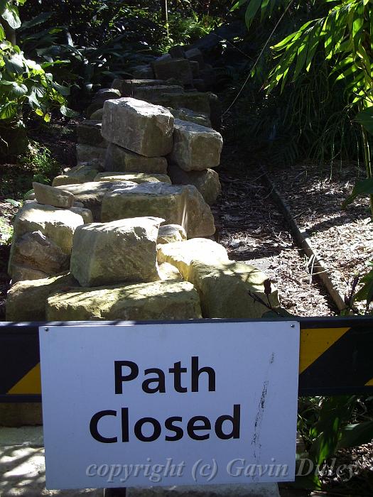 Closed path, Royal Botanic Gardens IMGP2652.JPG